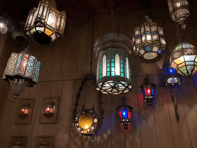 Tropical-Hideaway-Aladdin-Lights