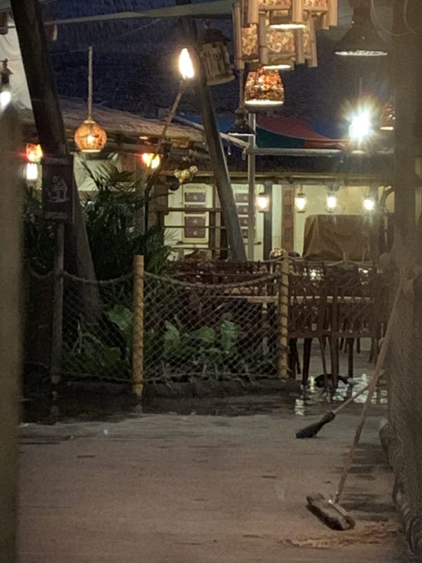, Disneyland Update – Holiday Surprises