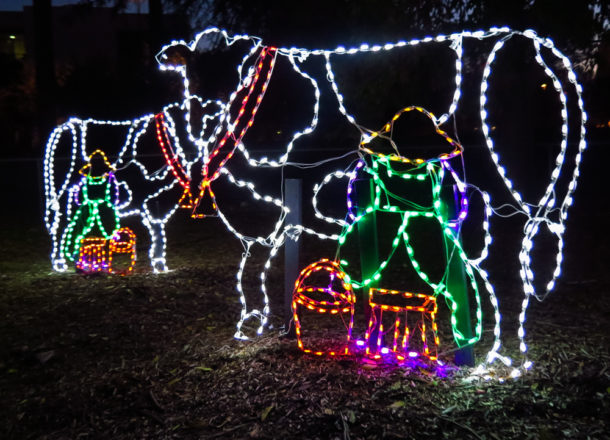 , Ever Expanding Winterfest at California’s Great America