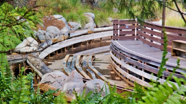 , Disneyland Resort Photo Update: Get Your Beers On