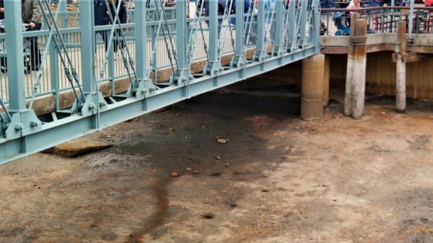 , Disneyland Resort Photo Update: Get Your Beers On