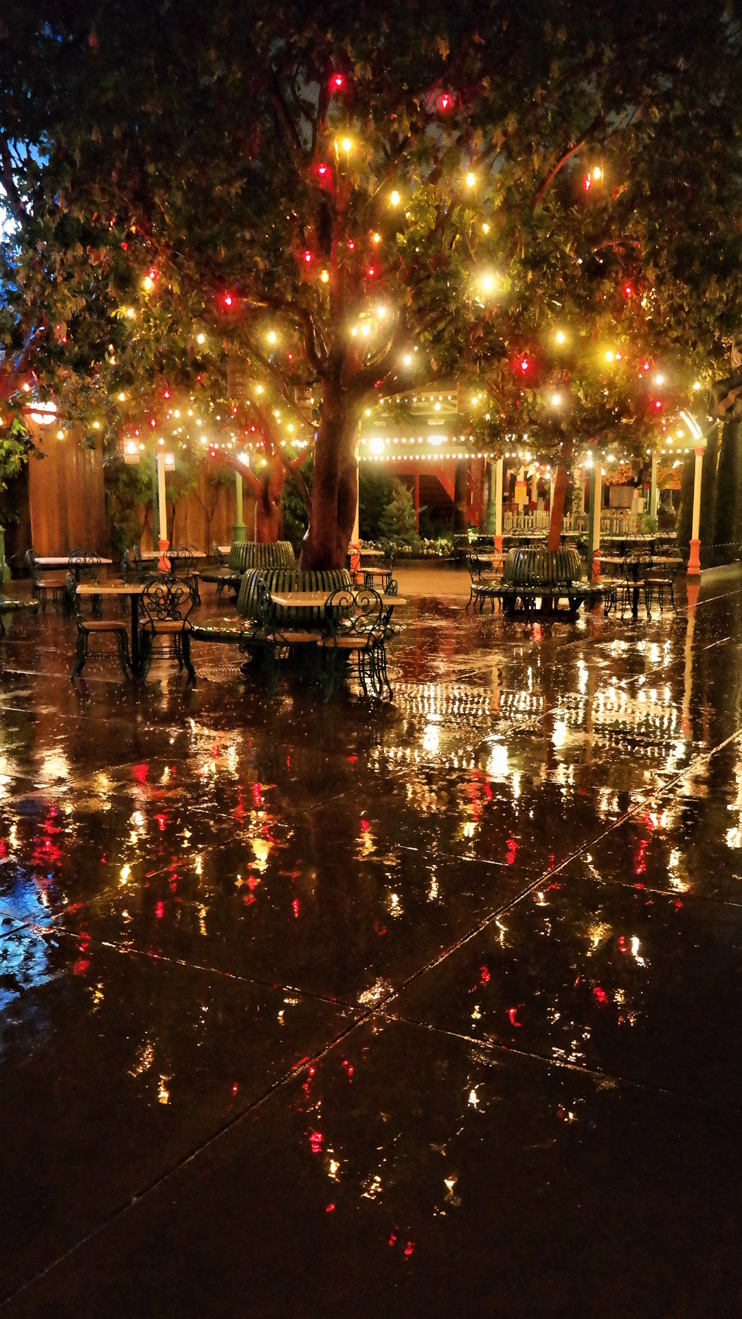 , Disneyland Resort Photo Update: Get Your Beers On