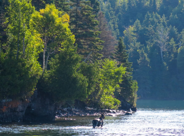 , Isle Royale National Park: Northern Exploresure – Part 1