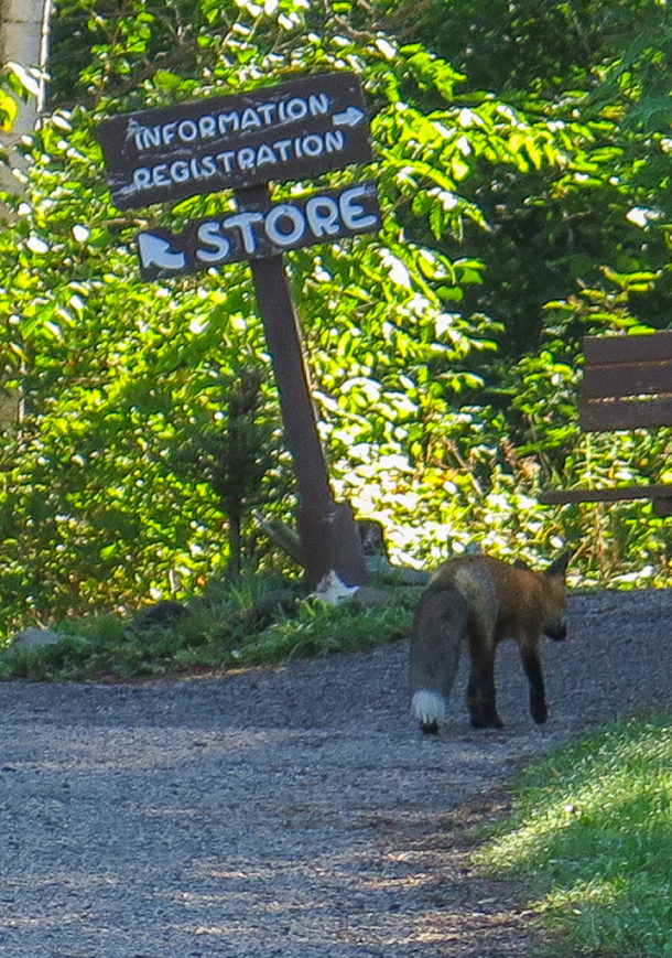 , Isle Royale National Park: Northern Exploresure – Part 1