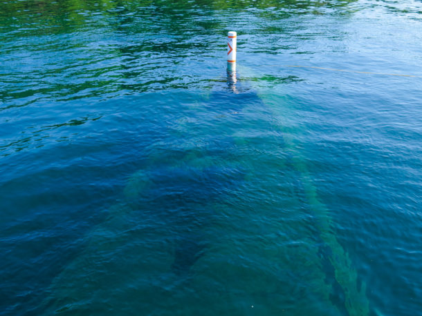 , Isle Royale National Park: Northern Exploresure – Part 1