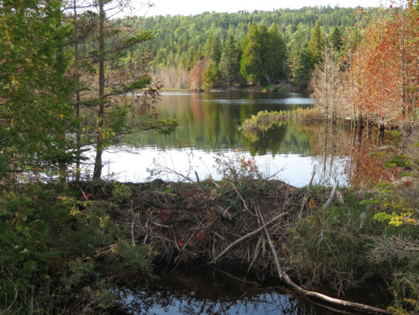 , Isle Royale National Park: Northern Exploresure – Part 1