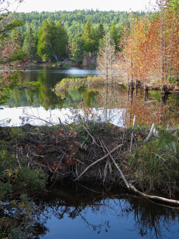 , Isle Royale National Park: Northern Exploresure – Part 1