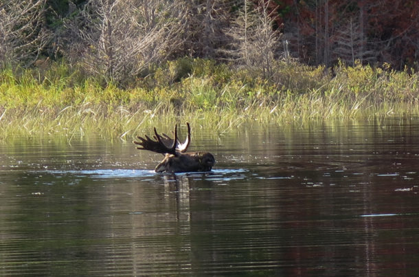 , Isle Royale National Park: Northern Exploresure – Part 1