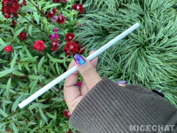 , Disneyland Update – Everything Old is New Again