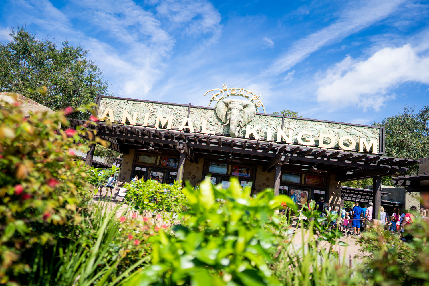 , Disneyland Update – Delays! Cancelations! Frustration!