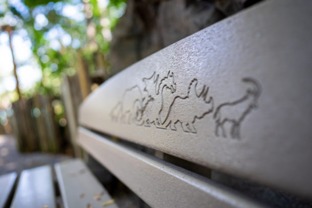 Animal Kingdom, Dateline Disney World – Animal Kingdom Ready to Roar