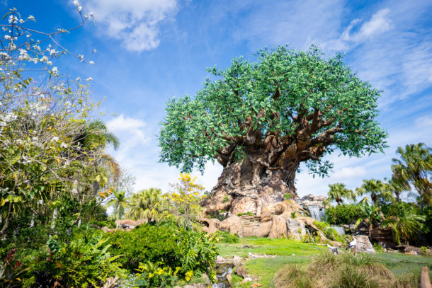 Animal Kingdom, Dateline Disney World &#8211; Animal Kingdom Ready to Roar