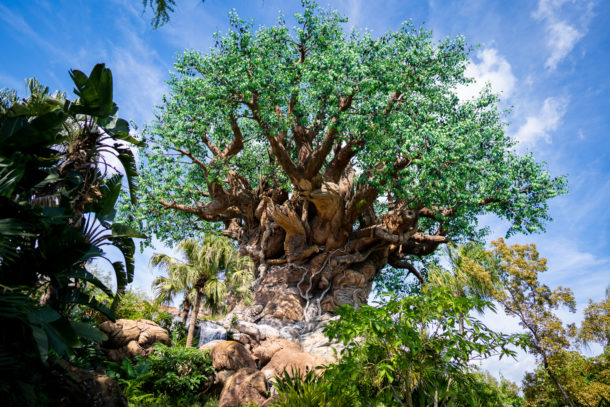 Animal Kingdom, Dateline Disney World – Animal Kingdom Ready to Roar