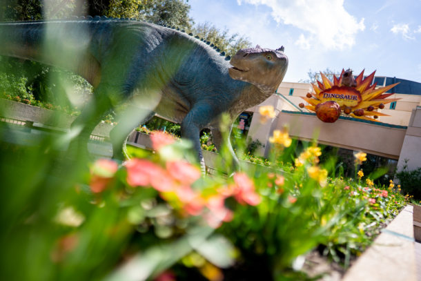 Animal Kingdom, Dateline Disney World – Animal Kingdom Ready to Roar