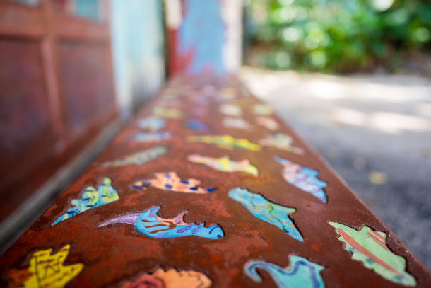 Animal Kingdom, Dateline Disney World – Animal Kingdom Ready to Roar