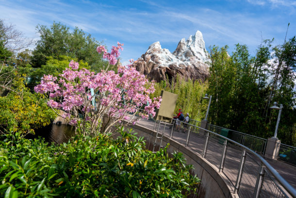 Animal Kingdom, Dateline Disney World – Animal Kingdom Ready to Roar