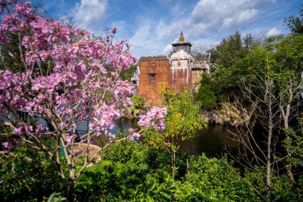 Animal Kingdom, Dateline Disney World – Animal Kingdom Ready to Roar
