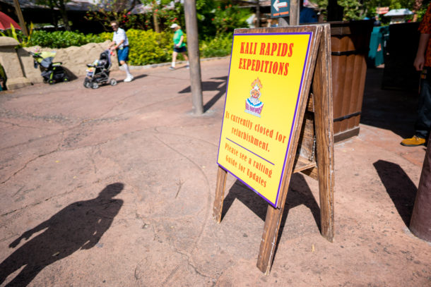 Animal Kingdom, Dateline Disney World – Animal Kingdom Ready to Roar