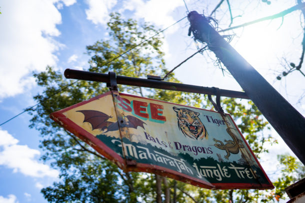 Animal Kingdom, Dateline Disney World – Animal Kingdom Ready to Roar