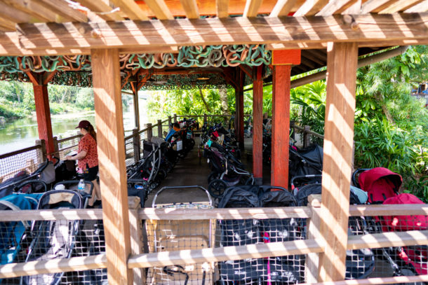 Animal Kingdom, Dateline Disney World – Animal Kingdom Ready to Roar