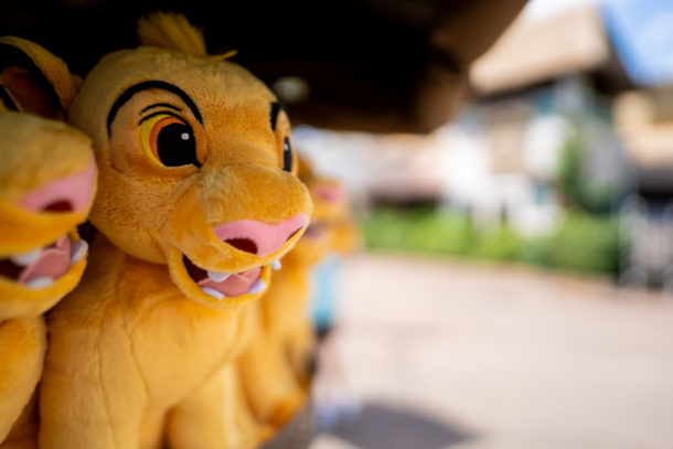 Animal Kingdom, Dateline Disney World &#8211; Animal Kingdom Ready to Roar