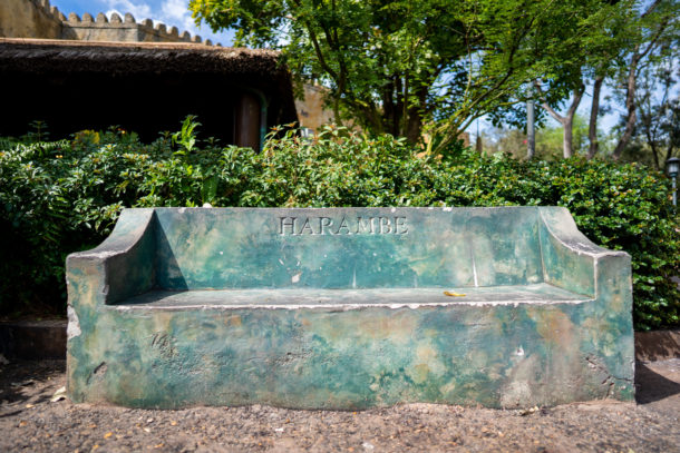 Animal Kingdom, Dateline Disney World – Animal Kingdom Ready to Roar
