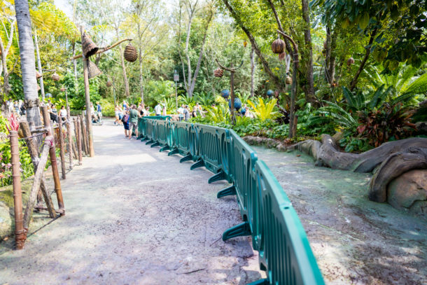 Animal Kingdom, Dateline Disney World – Animal Kingdom Ready to Roar