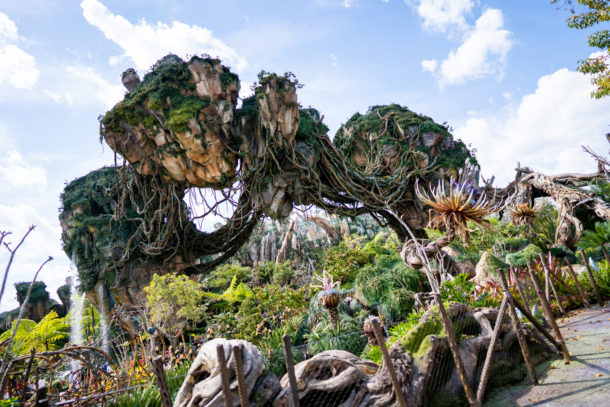 Animal Kingdom, Dateline Disney World – Animal Kingdom Ready to Roar