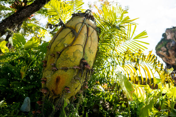 Animal Kingdom, Dateline Disney World – Animal Kingdom Ready to Roar