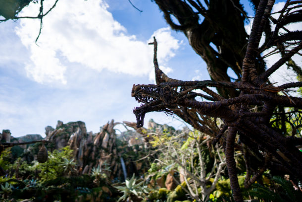Animal Kingdom, Dateline Disney World – Animal Kingdom Ready to Roar