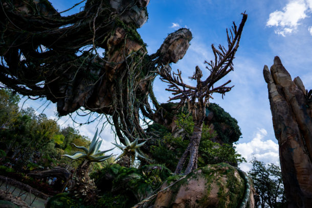 Animal Kingdom, Dateline Disney World &#8211; Animal Kingdom Ready to Roar