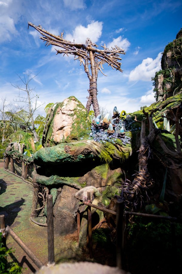 Animal Kingdom, Dateline Disney World – Animal Kingdom Ready to Roar