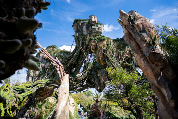 Animal Kingdom, Dateline Disney World – Animal Kingdom Ready to Roar