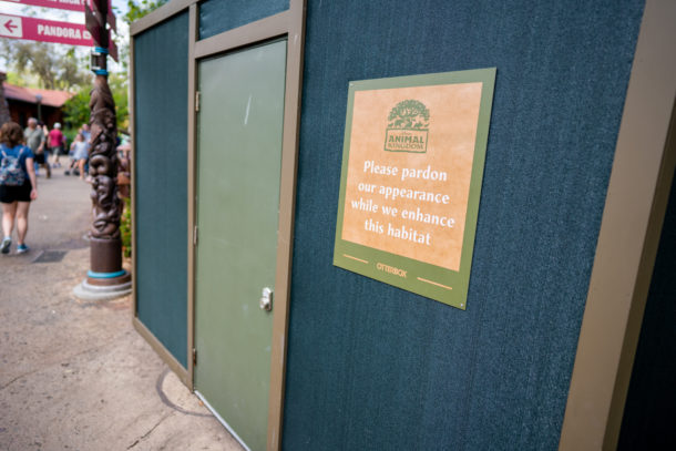 Animal Kingdom, Dateline Disney World – Animal Kingdom Ready to Roar