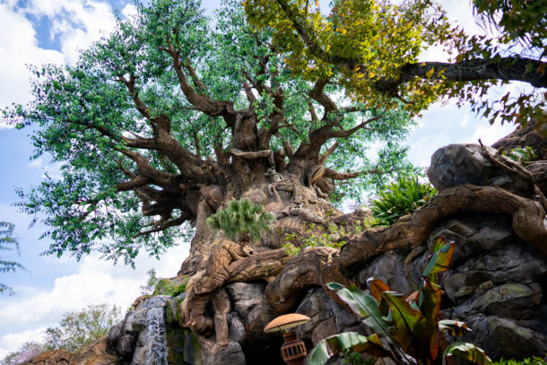 Animal Kingdom, Dateline Disney World &#8211; Animal Kingdom Ready to Roar