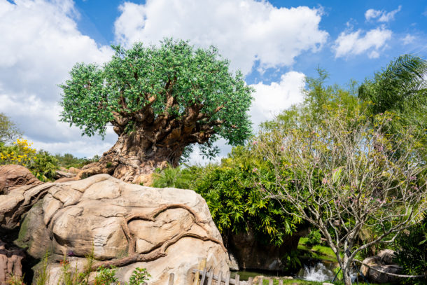 Animal Kingdom, Dateline Disney World – Animal Kingdom Ready to Roar