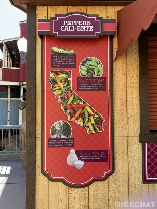 , Disneyland Update – Everything Old is New Again