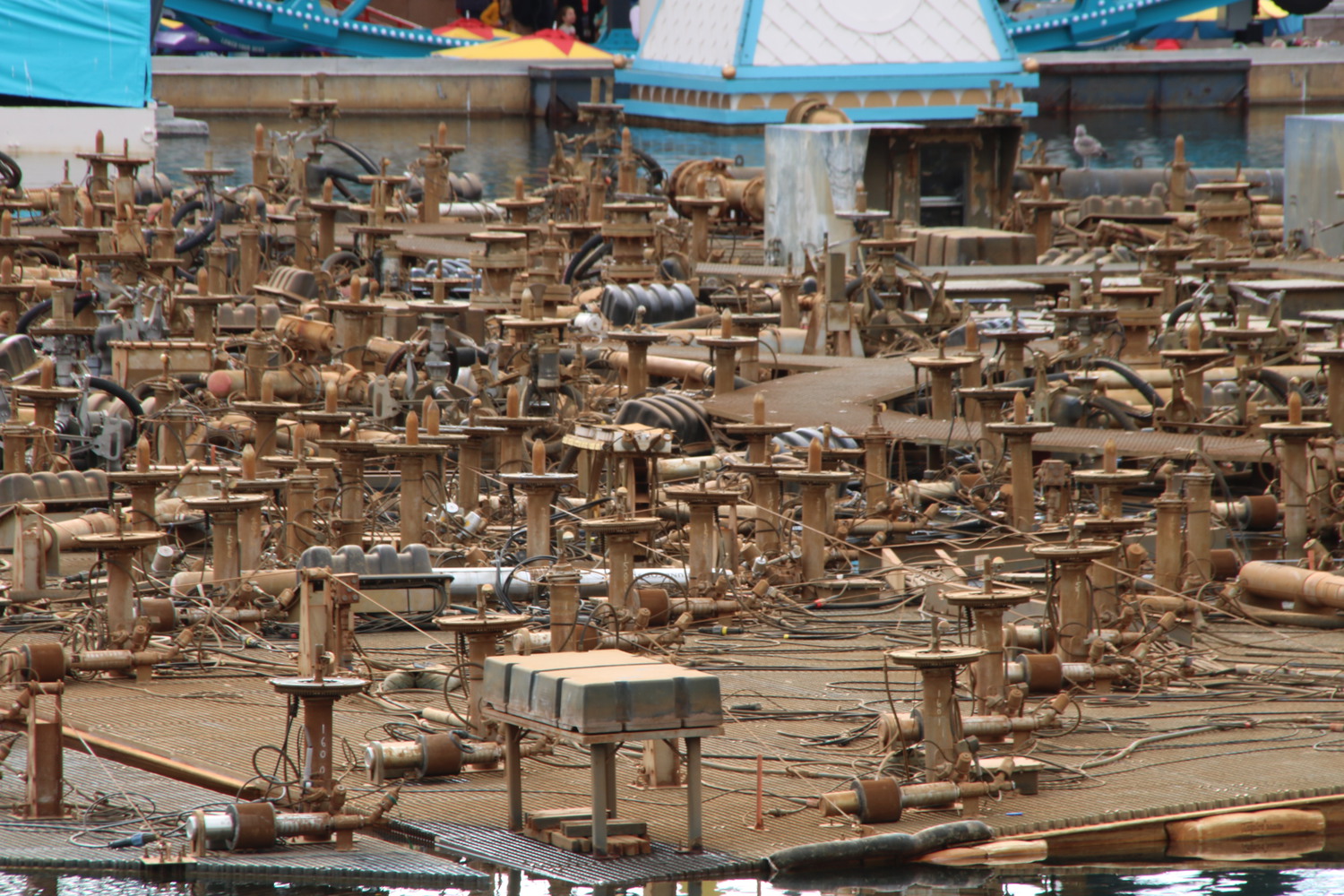 , Disneyland Resort Update – Mickey, Food, and Color
