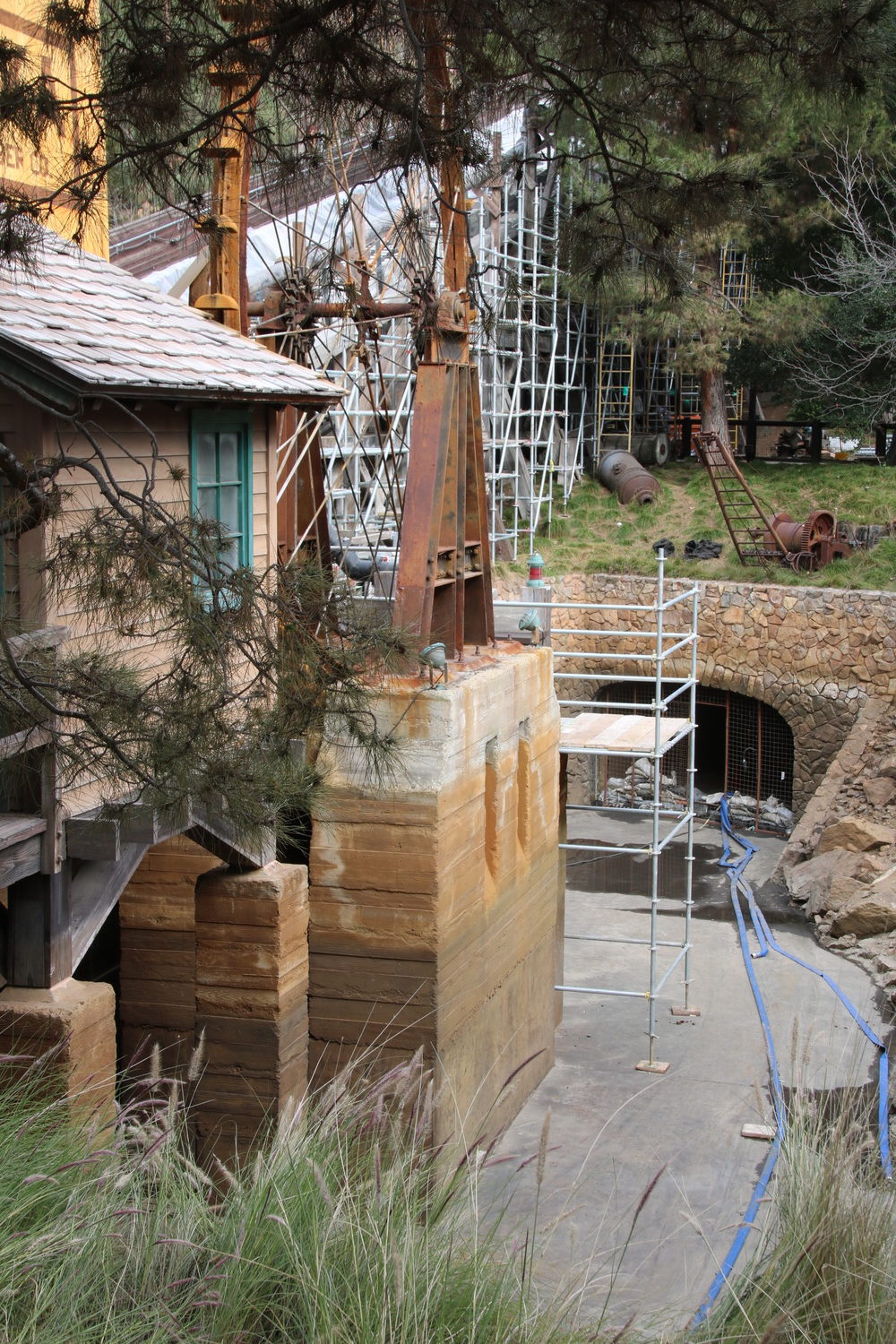 , Disneyland Resort Update – Mickey, Food, and Color