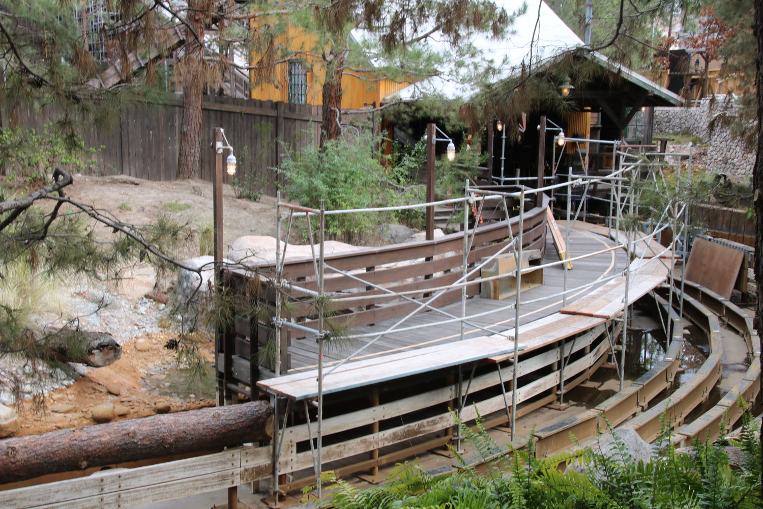 , Disneyland Resort Update – Mickey, Food, and Color