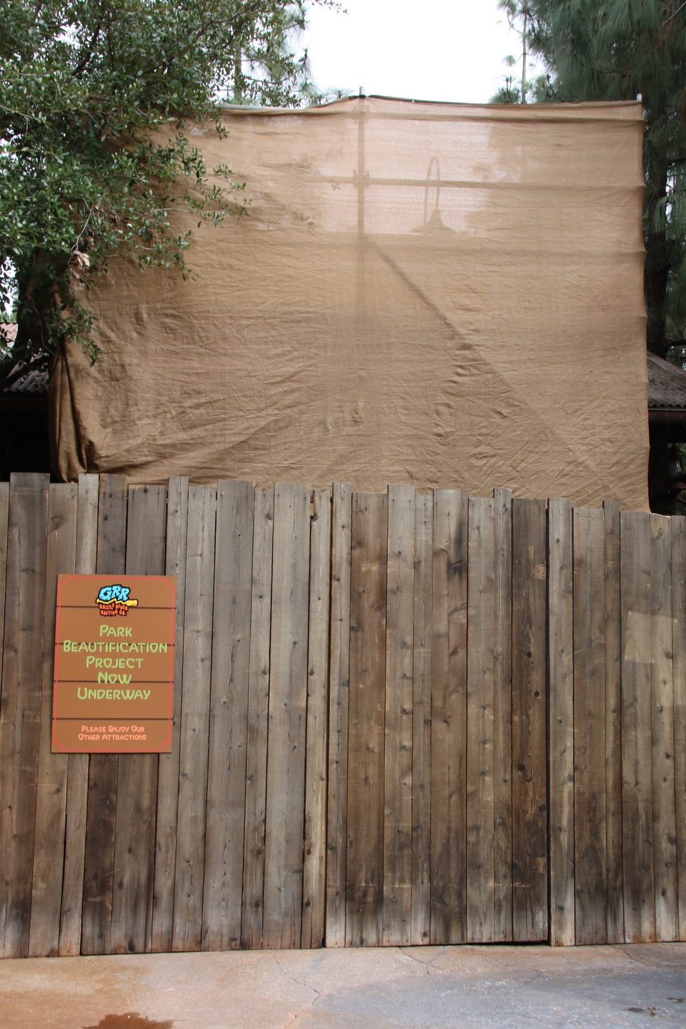 , Disneyland Resort Update – Mickey, Food, and Color