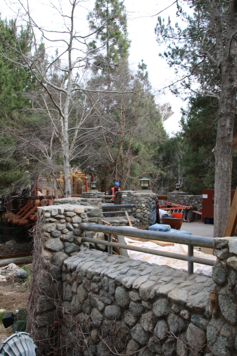 , Disneyland Resort Update – Mickey, Food, and Color