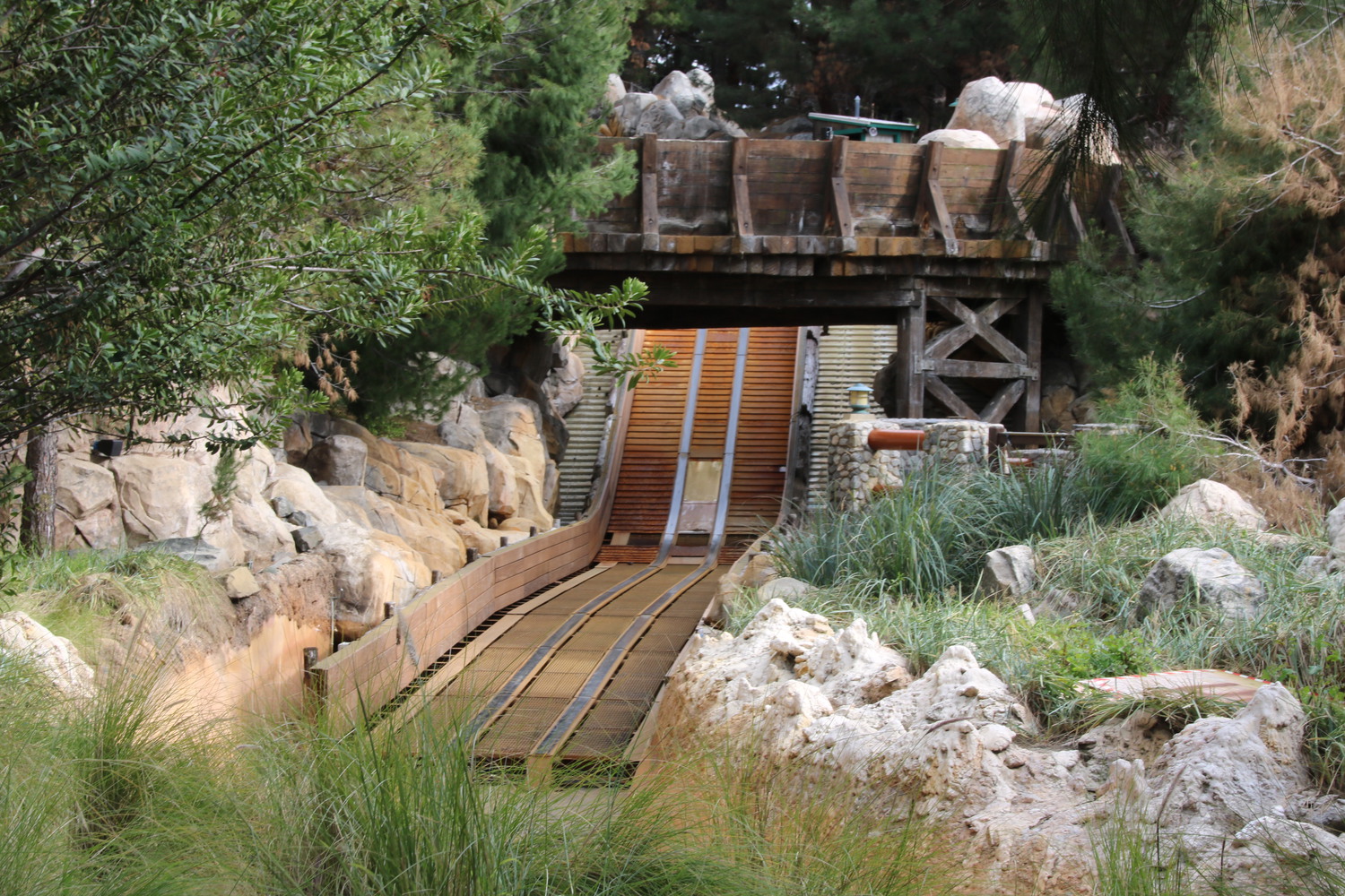 , Disneyland Resort Update – Mickey, Food, and Color