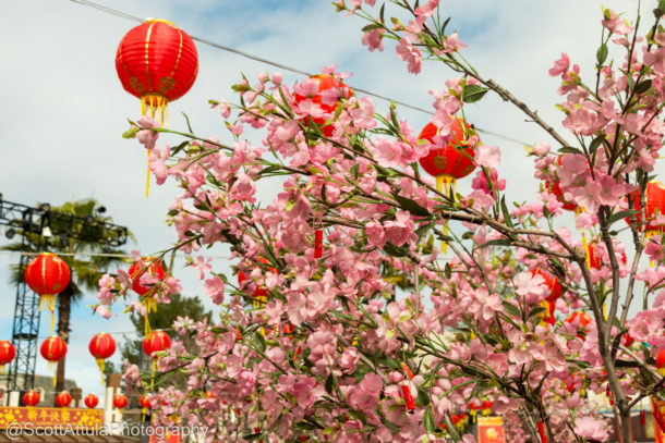 Lunar new year, Universal Studios Hollywood Animates Lunar New Year 2019