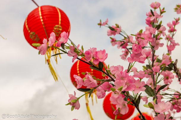 Lunar new year, Universal Studios Hollywood Animates Lunar New Year 2019