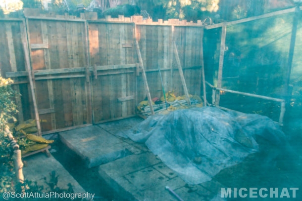 , Disneyland Update – Everything Old is New Again