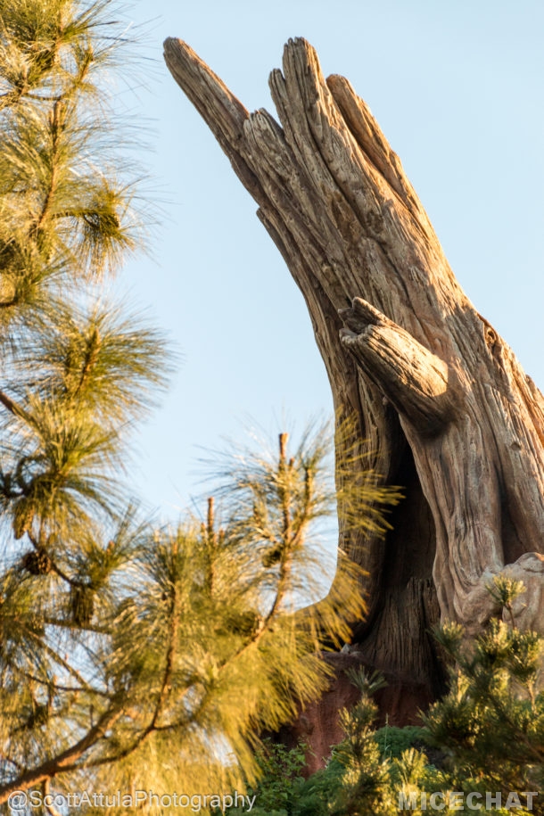 , Disneyland Update – Everything Old is New Again