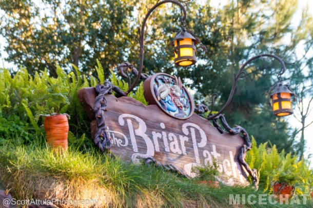 , Disneyland Update – Everything Old is New Again