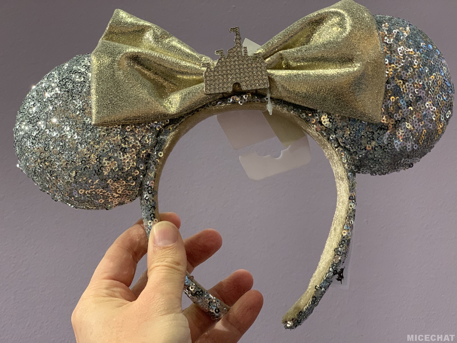 , Disneyland Resort Update – Mickey, Food, and Color