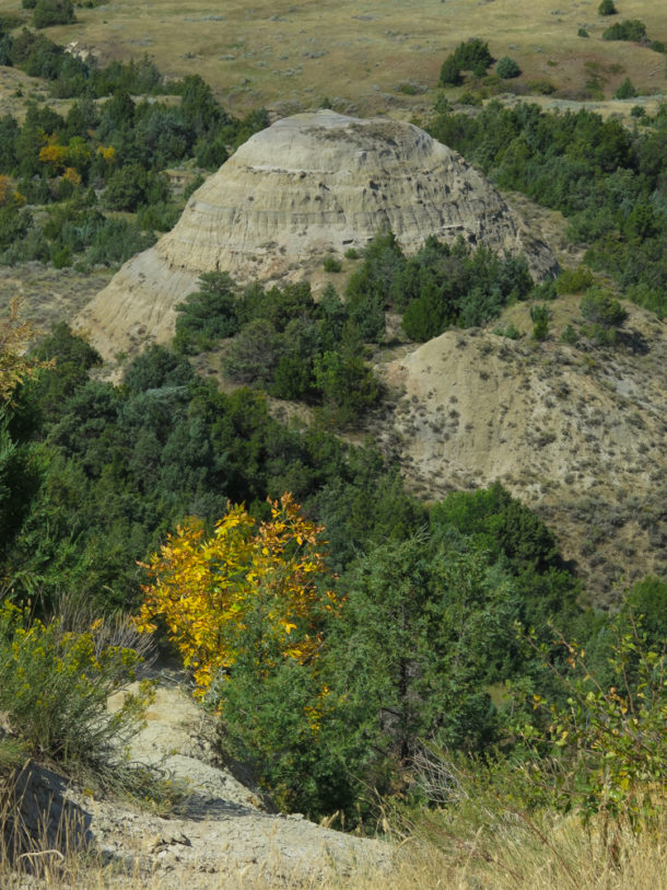 Theodore Roosevelt National Park, Theodore Roosevelt National Park: Northern Exploresure Part 3